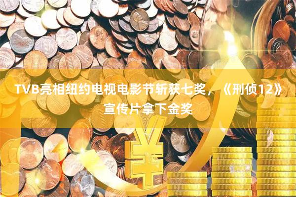 TVB亮相纽约电视电影节斩获七奖，《刑侦12》宣传片拿下金奖